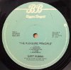 Gary Numan NL LP The Pleasure Principle side B v1